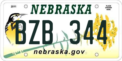 NE license plate BZB344