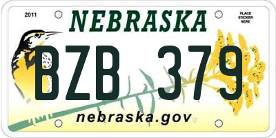 NE license plate BZB379