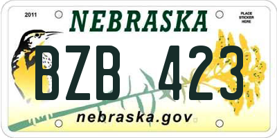 NE license plate BZB423