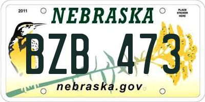 NE license plate BZB473