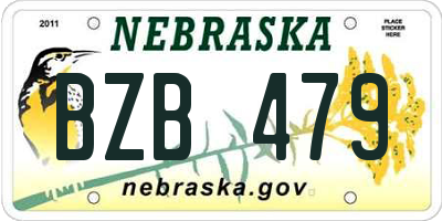 NE license plate BZB479