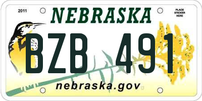 NE license plate BZB491