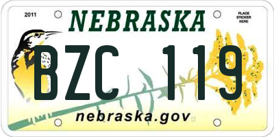 NE license plate BZC119