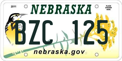 NE license plate BZC125
