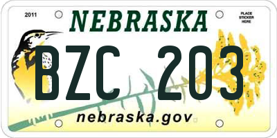 NE license plate BZC203