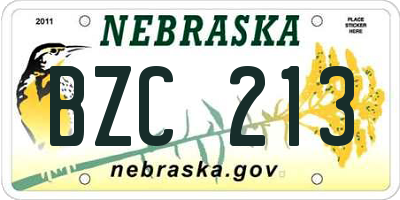NE license plate BZC213