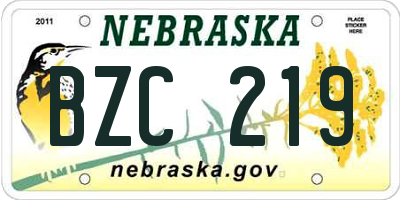 NE license plate BZC219