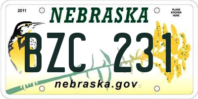 NE license plate BZC231