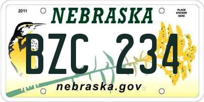 NE license plate BZC234