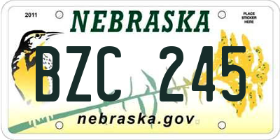 NE license plate BZC245
