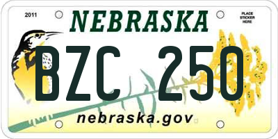 NE license plate BZC250