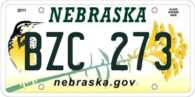 NE license plate BZC273