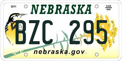 NE license plate BZC295