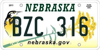 NE license plate BZC316