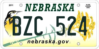 NE license plate BZC524
