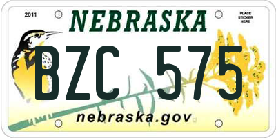 NE license plate BZC575