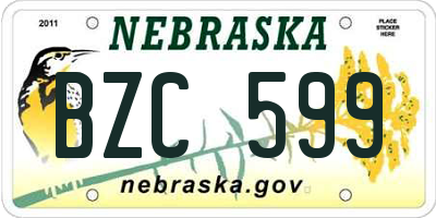 NE license plate BZC599