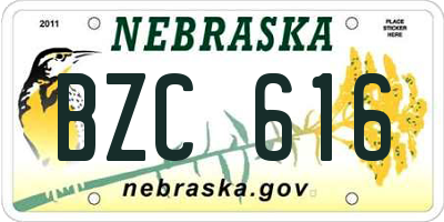 NE license plate BZC616