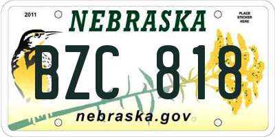 NE license plate BZC818