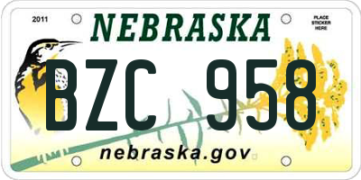 NE license plate BZC958