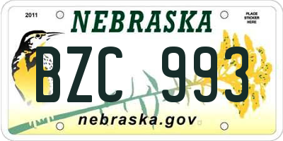 NE license plate BZC993