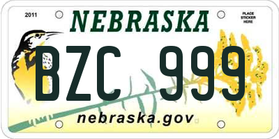 NE license plate BZC999