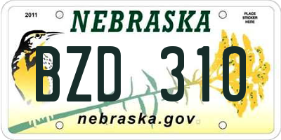 NE license plate BZD310