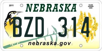 NE license plate BZD314