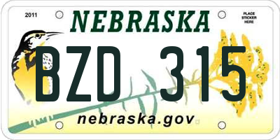 NE license plate BZD315