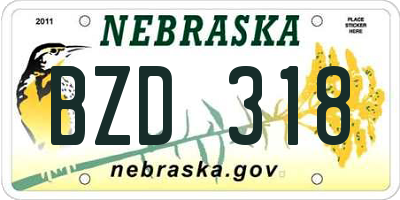 NE license plate BZD318