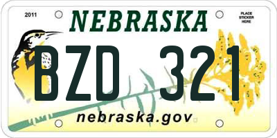 NE license plate BZD321