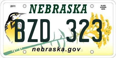 NE license plate BZD323