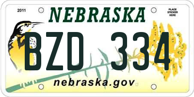 NE license plate BZD334