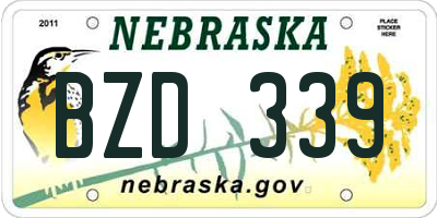 NE license plate BZD339