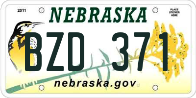 NE license plate BZD371