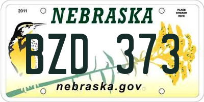 NE license plate BZD373