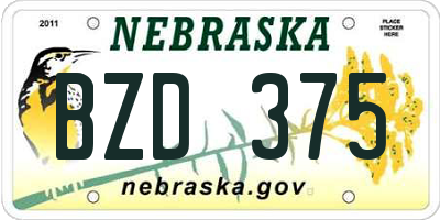 NE license plate BZD375
