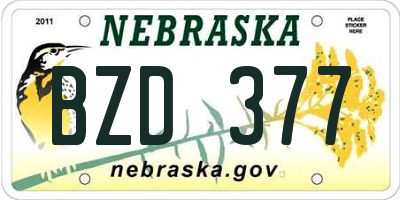 NE license plate BZD377