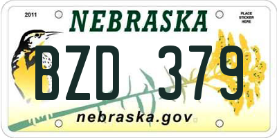 NE license plate BZD379