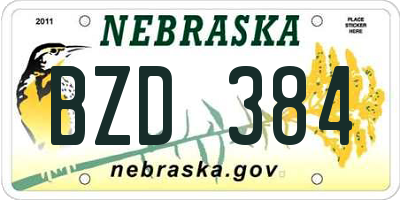 NE license plate BZD384
