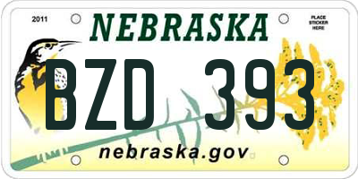 NE license plate BZD393