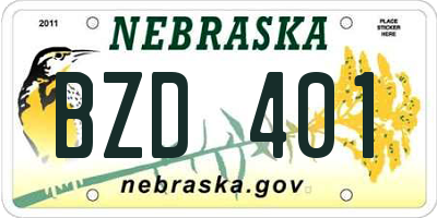 NE license plate BZD401