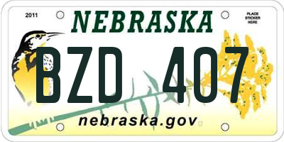 NE license plate BZD407
