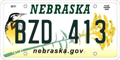 NE license plate BZD413