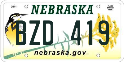 NE license plate BZD419