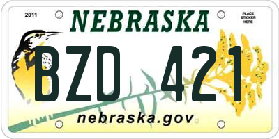 NE license plate BZD421