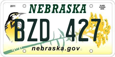 NE license plate BZD427