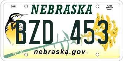 NE license plate BZD453