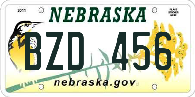 NE license plate BZD456
