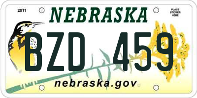 NE license plate BZD459